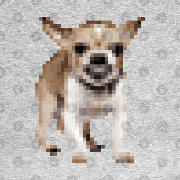 Angry Pixel Art Chihuahua by DankFutura